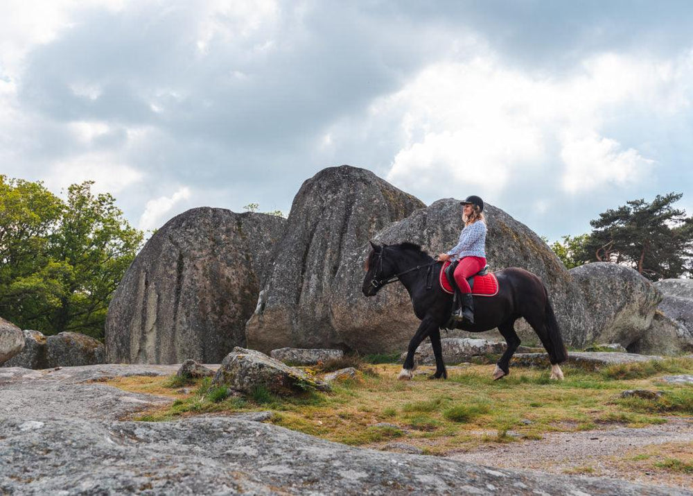 Horse riding in the Monts d’Ambazac