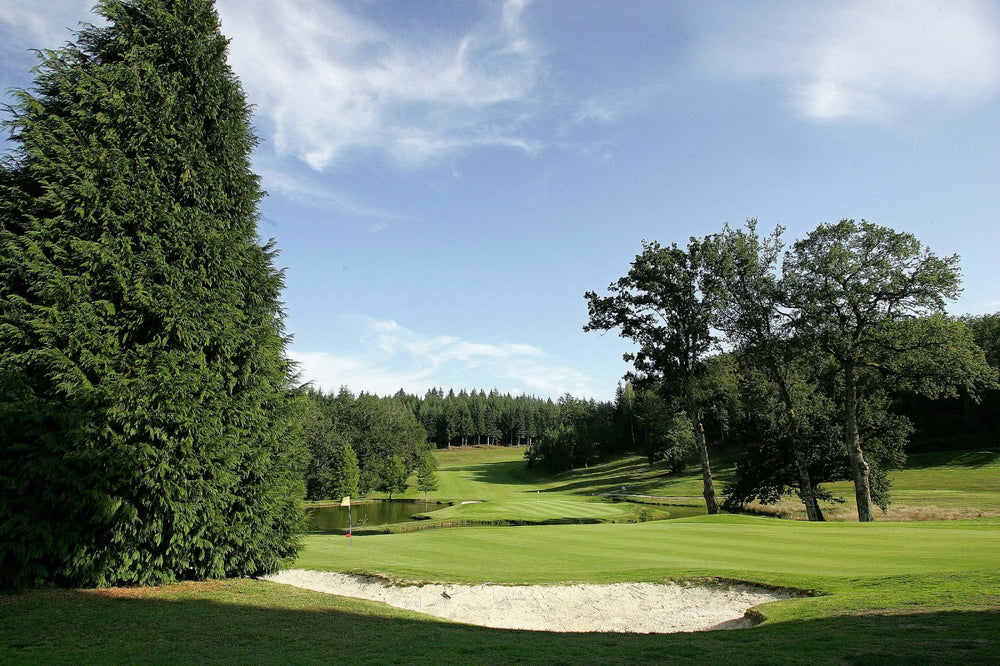 Porcelain Golf Course — Green Fee